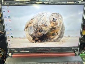 21 ม.ค.68 Acer AN515-43-ROT3 ลูกค้าแจ้งว่าทำเครื่องหล่น จอ LED 15.6"/Slim/120Hz มีเส้นสีดำด้านบนจอ ต้องการเปลี่ยนจอใหม่ - Image 1